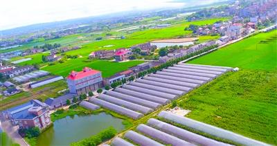 鄒城嶧山農(nóng)業(yè)科技示范園建設(shè)運(yùn)營項目